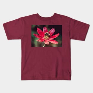 Pollen Collection. Bee Photograph Kids T-Shirt